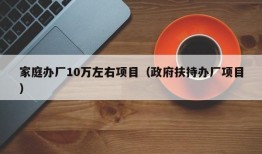 家庭办厂10万左右项目（政府扶持办厂项目）