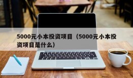 5000元小本投资项目（5000元小本投资项目是什么）